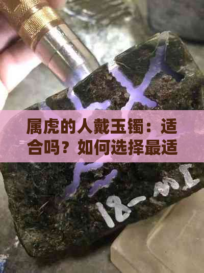 属虎的人戴玉镯：适合吗？如何选择最适合的款式和材质