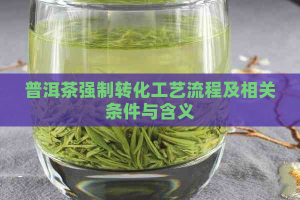 普洱茶强制转化工艺流程及相关条件与含义