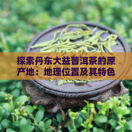 探索丹东大益普洱茶的原产地：地理位置及其特色