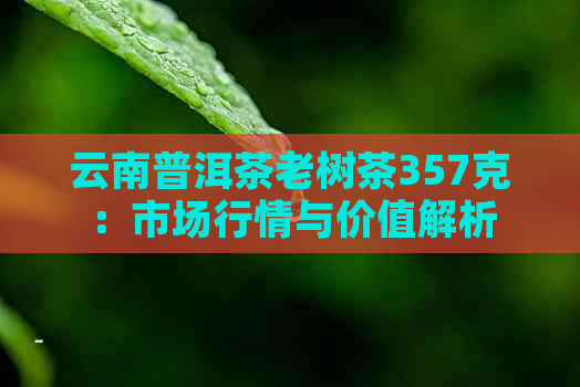 云南普洱茶老树茶357克：市场行情与价值解析