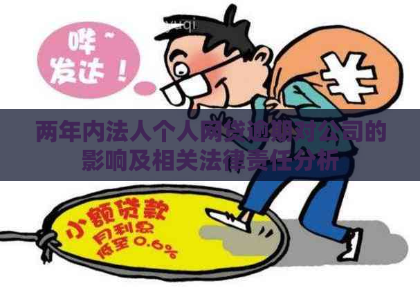 两年内法人个人网贷逾期对公司的影响及相关法律责任分析