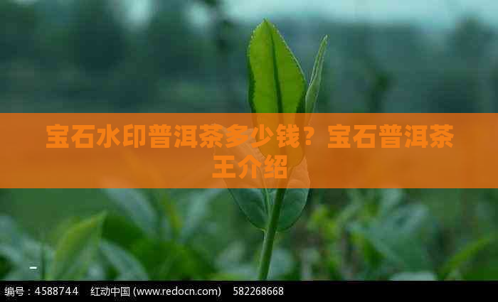 宝石水印普洱茶多少钱？宝石普洱茶王介绍