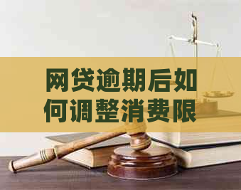 网贷逾期后如何调整消费限额，避免信用损失？