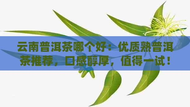 云南普洱茶哪个好：优质熟普洱茶推荐，口感醇厚，值得一试！