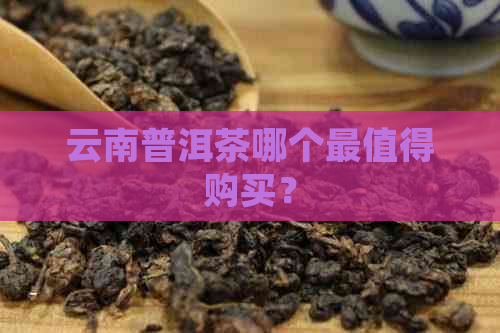 云南普洱茶哪个最值得购买？