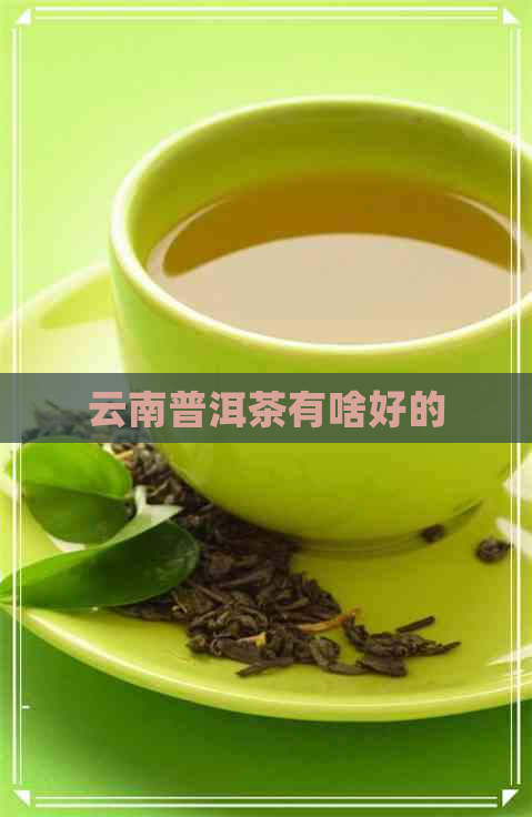 云南普洱茶有啥好的