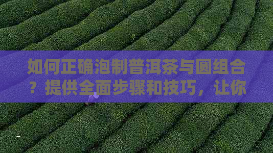 如何正确泡制普洱茶与圆组合？提供全面步骤和技巧，让你品尝到口感！