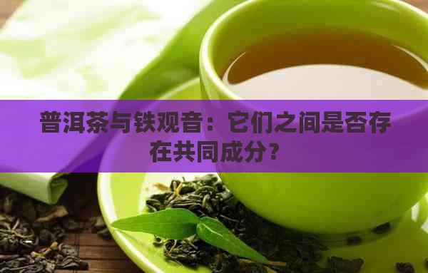 普洱茶与铁观音：它们之间是否存在共同成分？