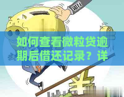 如何查看微粒贷逾期后借还记录？详细步骤解析及注意事项