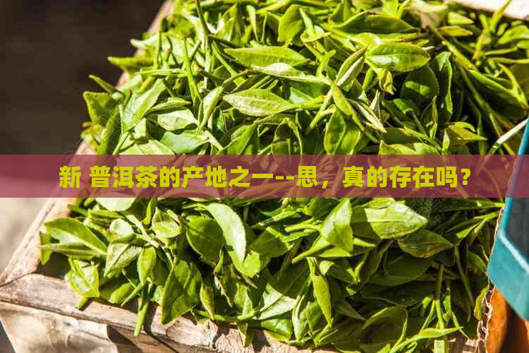 新 普洱茶的产地之一--思，真的存在吗？