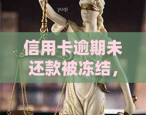 信用卡逾期未还款被冻结，解冻方法与预防措分析