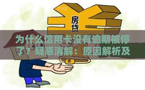 为什么信用卡没有逾期被停了？疑惑消解：原因解析及可能影响