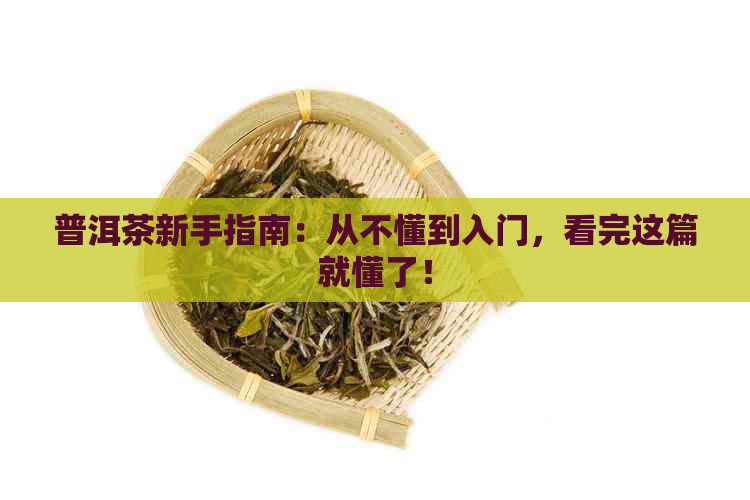 普洱茶新手指南：从不懂到入门，看完这篇就懂了！