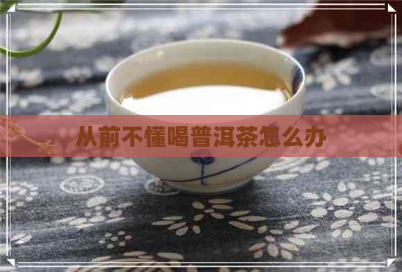 从前不懂喝普洱茶怎么办