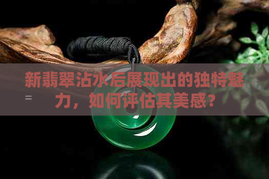 新翡翠沾水后展现出的独特魅力，如何评估其美感？