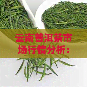 云南普洱茶市场行情分析：十年陈普洱茶价格趋势与消费者需求