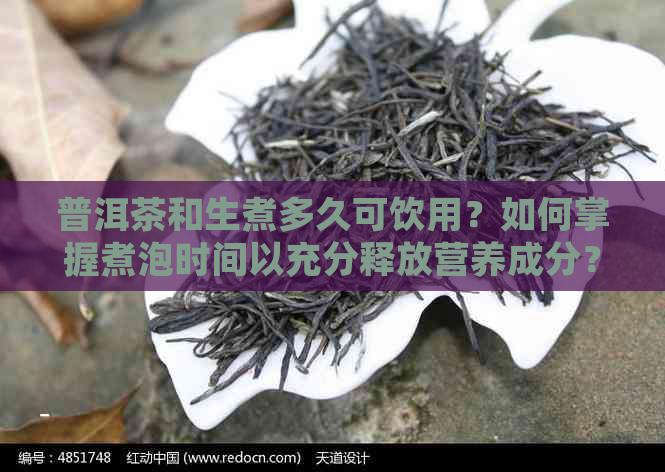 普洱茶和生煮多久可饮用？如何掌握煮泡时间以充分释放营养成分？