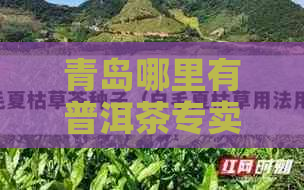 青岛哪里有普洱茶专卖店？现在购买普洱茶的价格是多少？