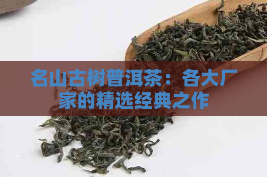 名山古树普洱茶：各大厂家的精选经典之作