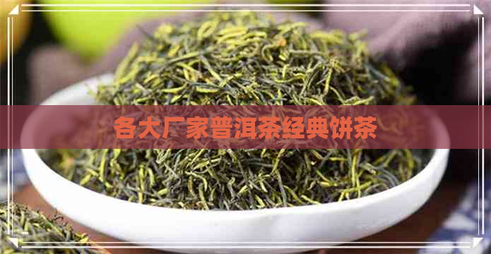 各大厂家普洱茶经典饼茶