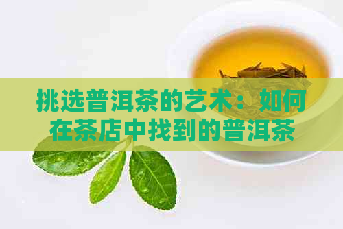 挑选普洱茶的艺术：如何在茶店中找到的普洱茶