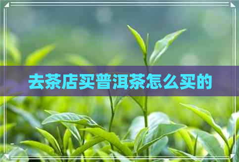 去茶店买普洱茶怎么买的