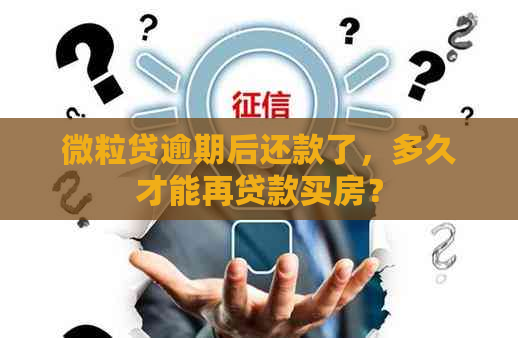 微粒贷逾期后还款了，多久才能再贷款买房？