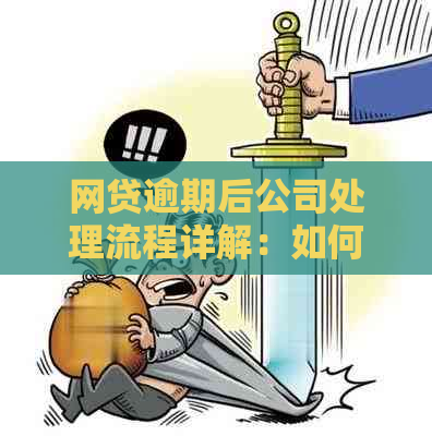 网贷逾期后公司处理流程详解：如何应对、相关法规及可能影响