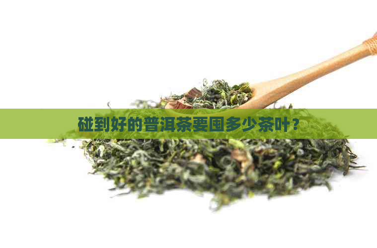 碰到好的普洱茶要囤多少茶叶？