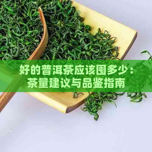 好的普洱茶应该囤多少：茶量建议与品鉴指南