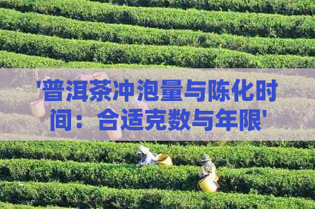 '普洱茶冲泡量与陈化时间：合适克数与年限'