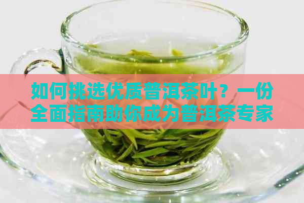 如何挑选优质普洱茶叶？一份全面指南助你成为普洱茶专家