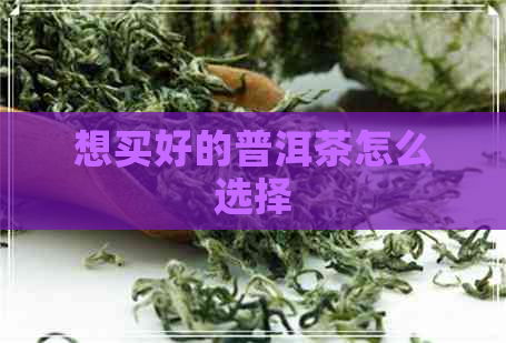 想买好的普洱茶怎么选择