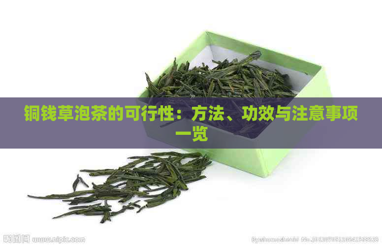 铜钱草泡茶的可行性：方法、功效与注意事项一览