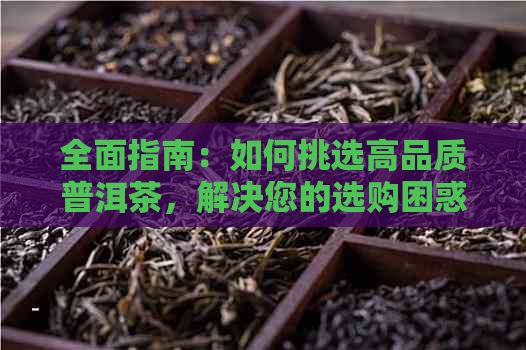 全面指南：如何挑选高品质普洱茶，解决您的选购困惑