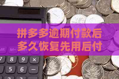 拼多多逾期付款后多久恢复先用后付功能，拼多多逾期未付款是什么意思？