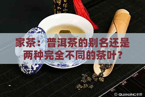 家茶：普洱茶的别名还是两种完全不同的茶叶？