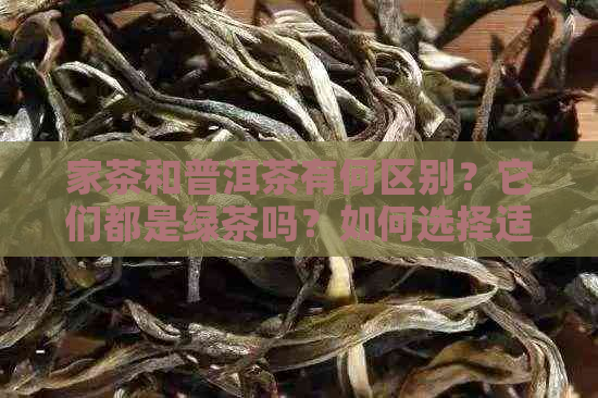 家茶和普洱茶有何区别？它们都是绿茶吗？如何选择适合自己的茶叶？