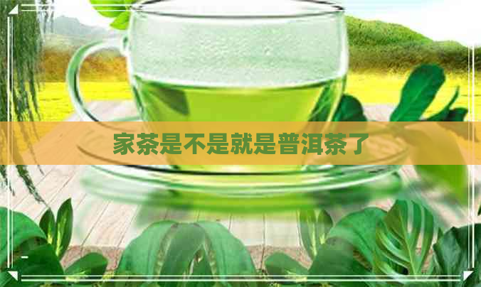 家茶是不是就是普洱茶了