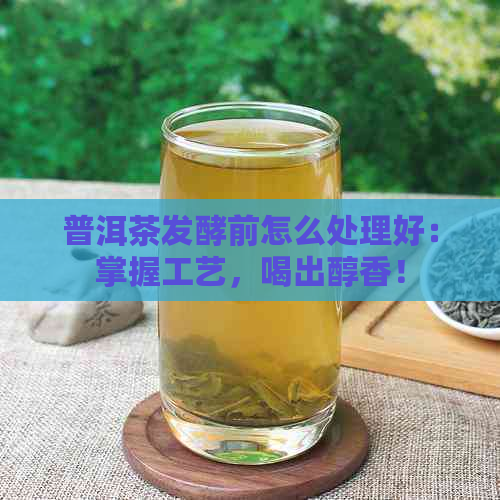 普洱茶发酵前怎么处理好：掌握工艺，喝出醇香！