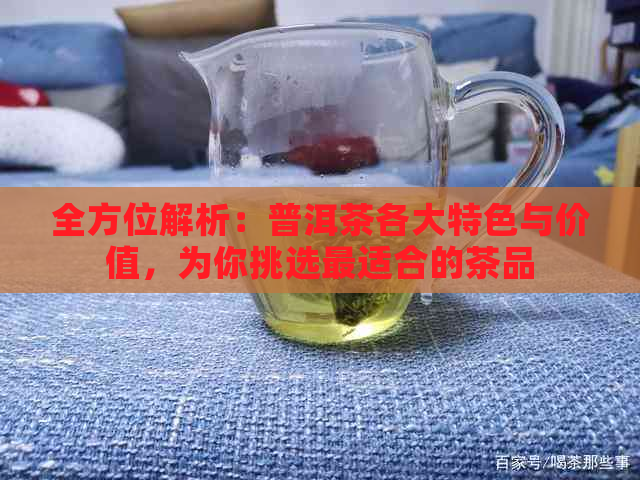 全方位解析：普洱茶各大特色与价值，为你挑选最适合的茶品