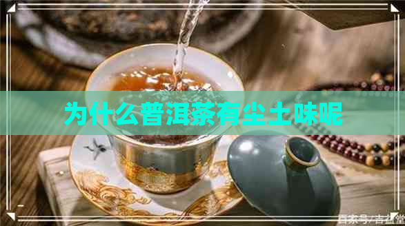 为什么普洱茶有尘土味呢