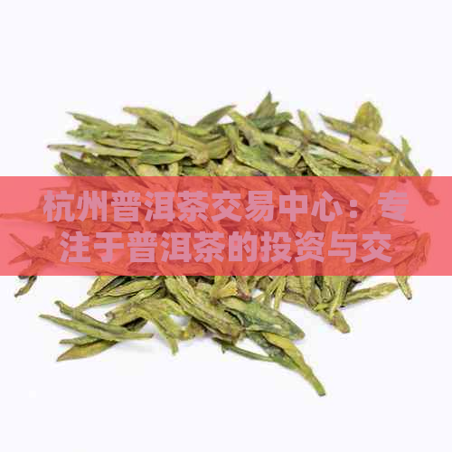 杭州普洱茶交易中心：专注于普洱茶的投资与交流平台