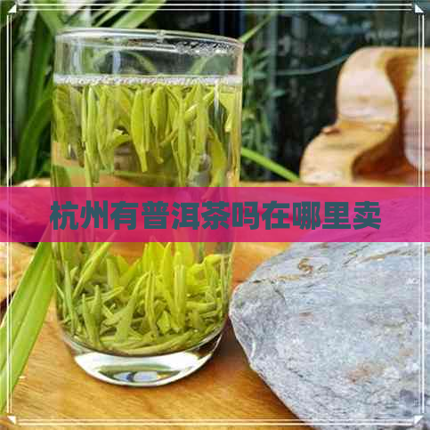 杭州有普洱茶吗在哪里卖