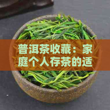 普洱茶收藏：家庭个人存茶的适宜性与技巧探讨