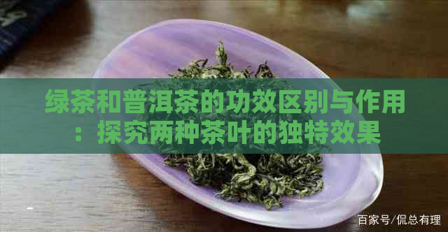 绿茶和普洱茶的功效区别与作用：探究两种茶叶的独特效果