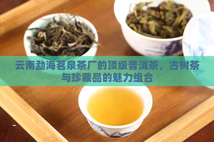 云南勐海茗泉茶厂的顶级普洱茶，古树茶与珍藏品的魅力组合