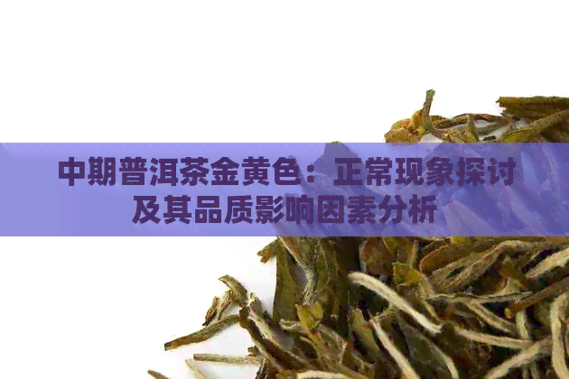 中期普洱茶金黄色：正常现象探讨及其品质影响因素分析