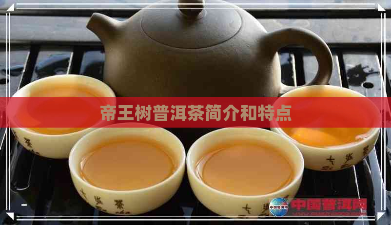 帝王树普洱茶简介和特点