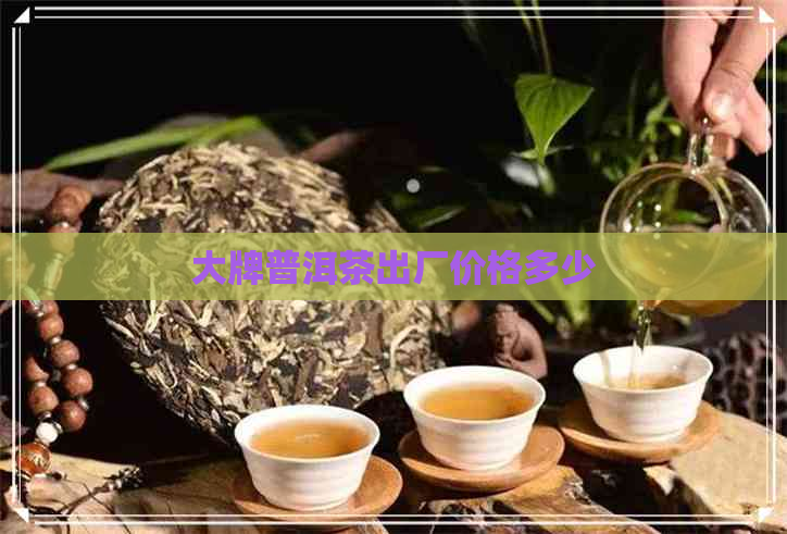 大牌普洱茶出厂价格多少